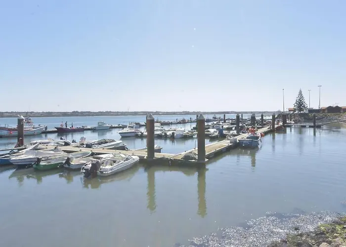 Casa Golfinho * Costa Nova